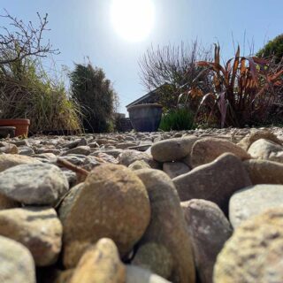 Bugs eye view