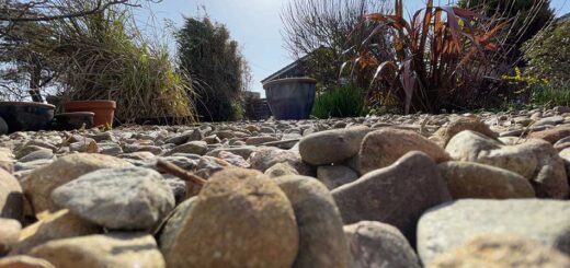 Bugs eye view