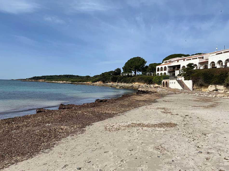 Punta Negra