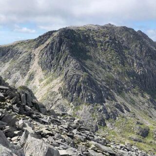 Bristly Ridge