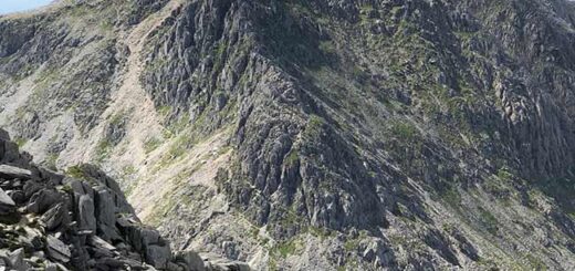 Bristly Ridge