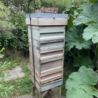 Beehive