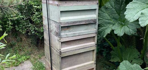 Beehive
