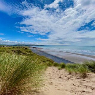 View from the dune