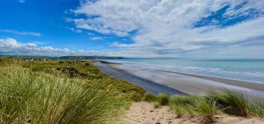 View from the dune
