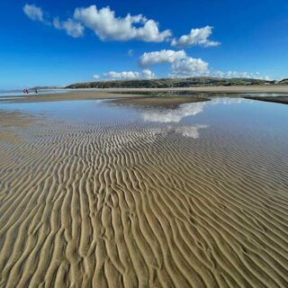 Ripples in the Sand