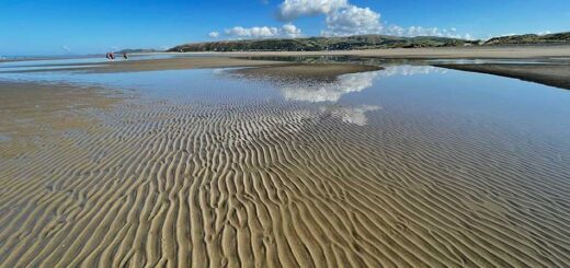 Ripples in the Sand