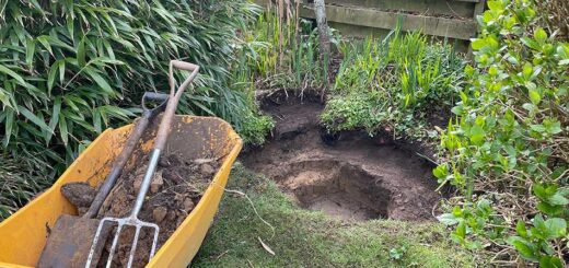 Digging a Pond