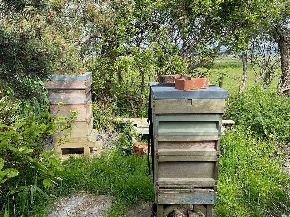 The Apiary