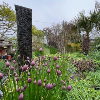 Chives