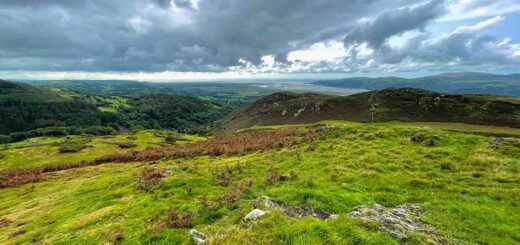 Foel Fawr and the Dyfi Estuary