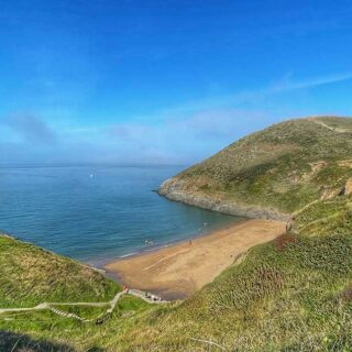 Mwnt