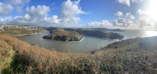 Solva Views