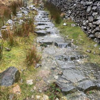 Wet Trails