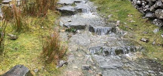 Wet Trails