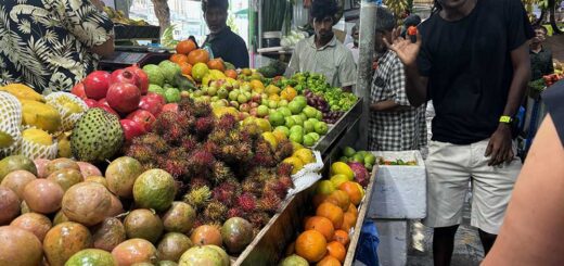 Fruit Market