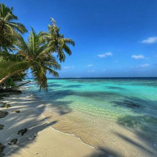 Island Paradise