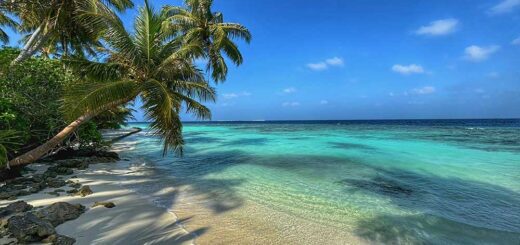 Island Paradise
