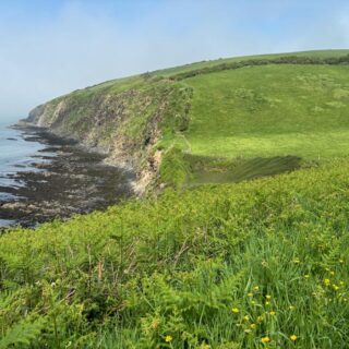 Back onto the Cliffs
