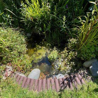 Garden Pond