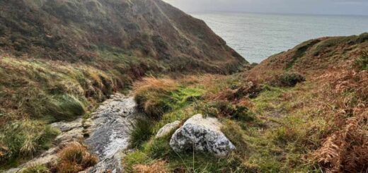 Coast Path