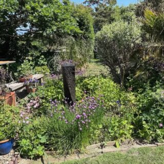 Spring in the garden