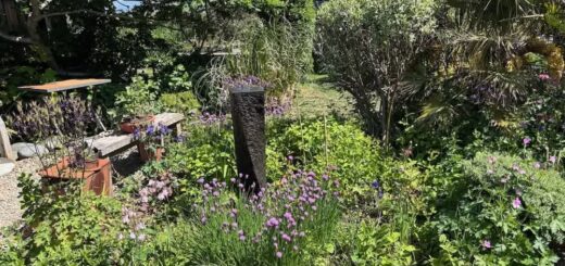 Spring in the garden