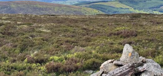 Pen y Boncyn Trefriw