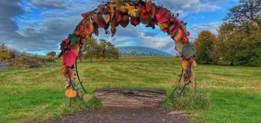The National Botanic Garden of Wales