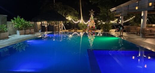 The Hotel Pool