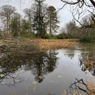 The Lake