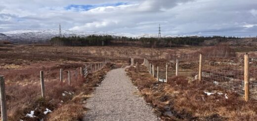 Immaculate paths to Cannich