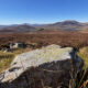 Sunny Hills