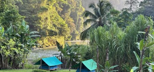 Morning at Camp