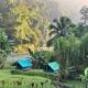 Morning at Camp