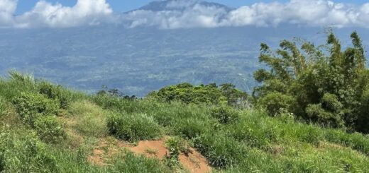 Volcano Views