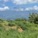 Volcano Views