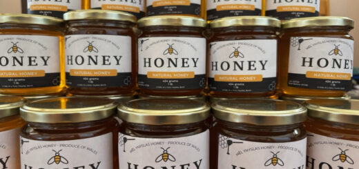 Honey