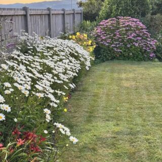 Our Garden
