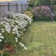 Our Garden