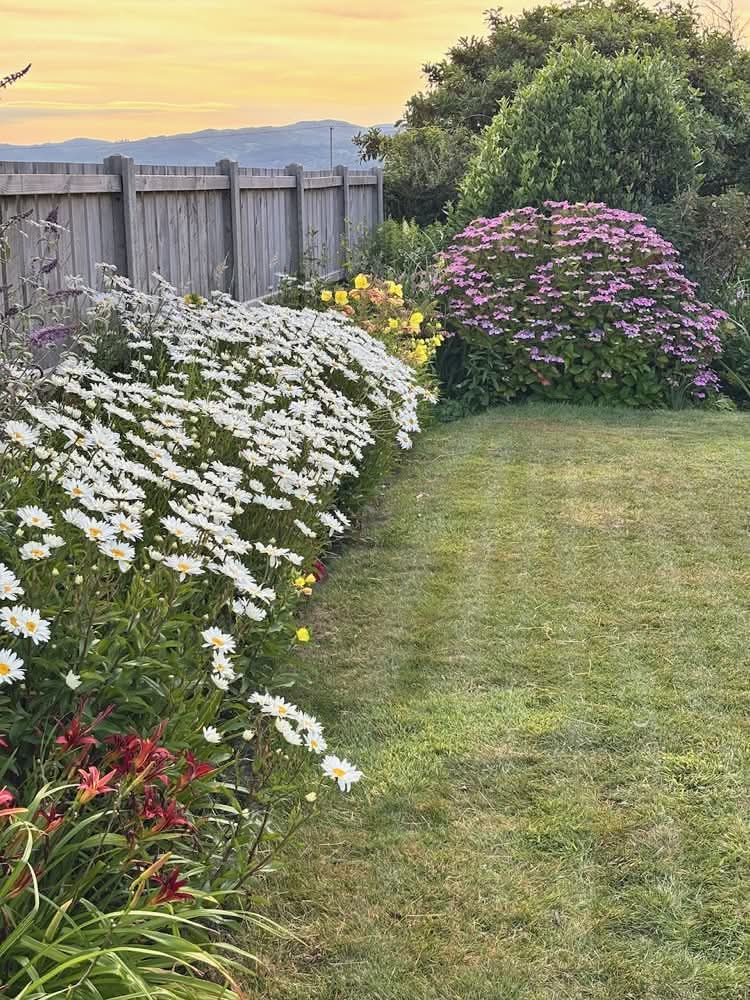 Our Garden