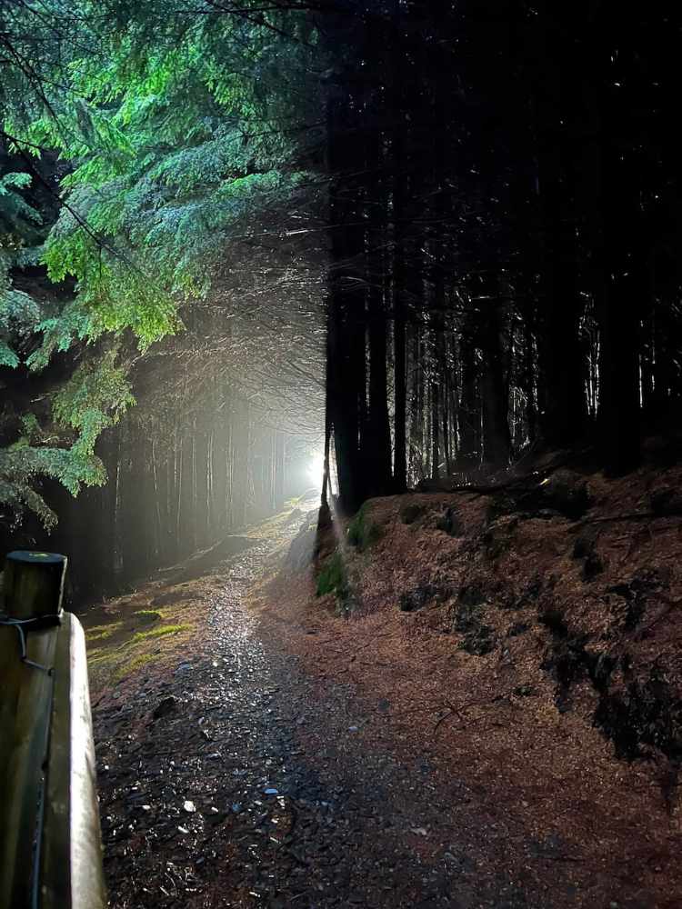 Night riding in the Dyfi Forest last week