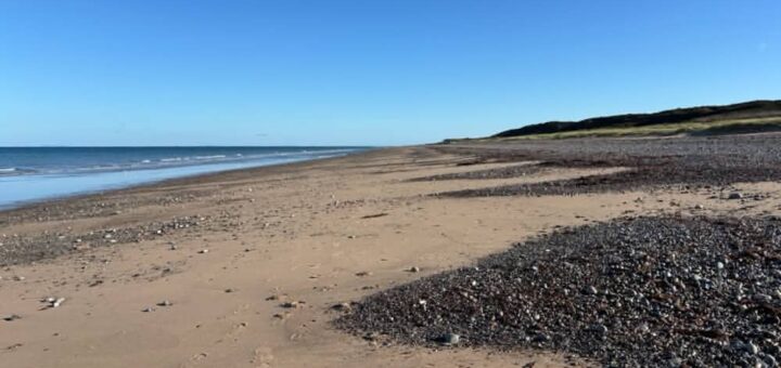 Never-ending beach