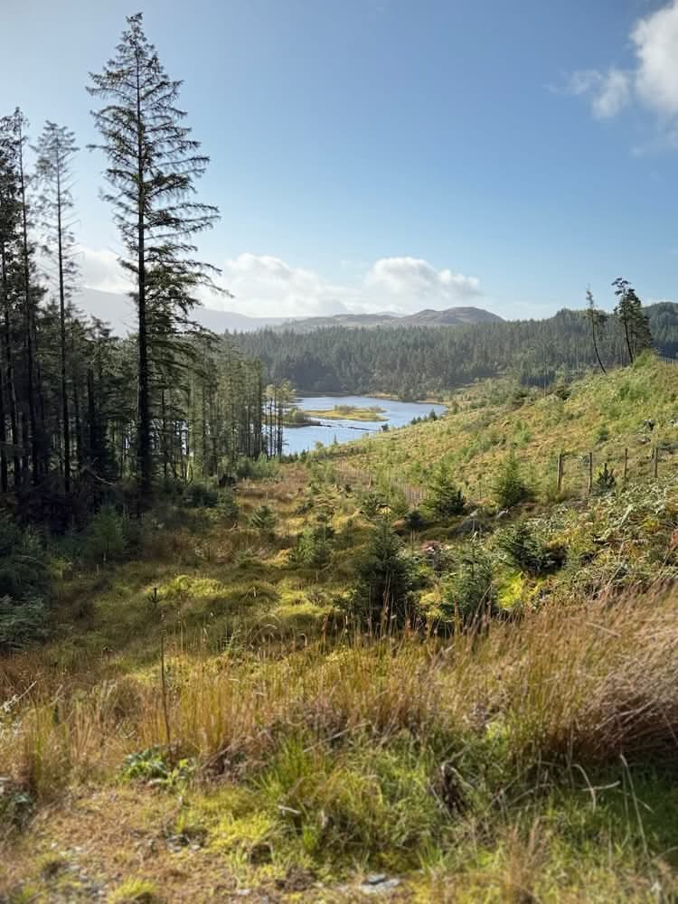 Llyn Cwm Mynach