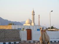Assalla