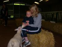 Feeding the Lambs